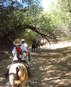 champagne and sagebrush ride