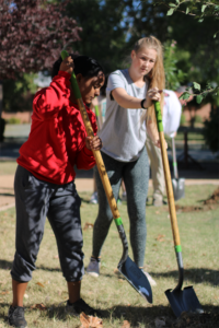 Girls working